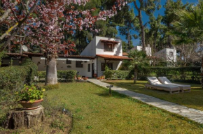Pine Villa - NG Sani Villas